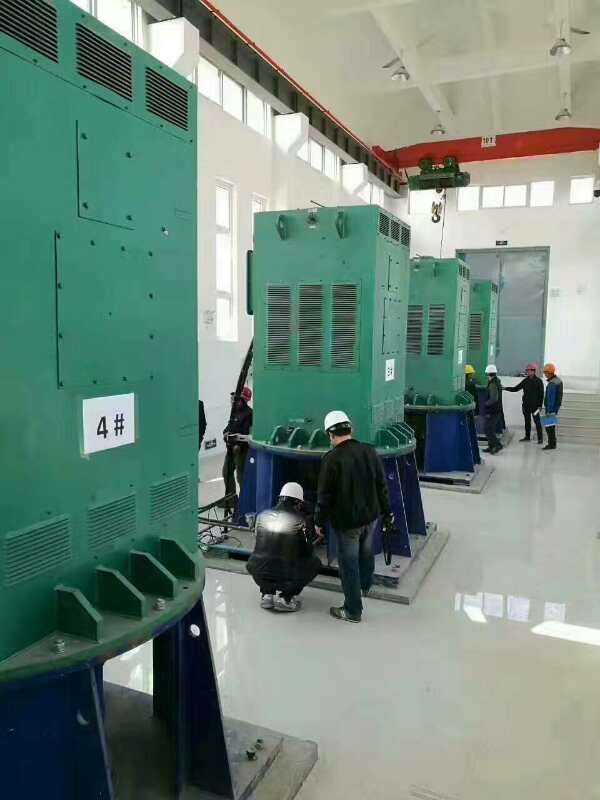 武冈某污水处理厂使用我厂的立式高压电机安装现场安装尺寸